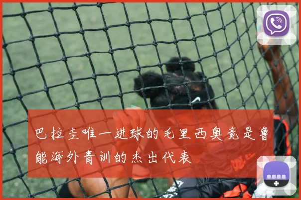 巴拉圭唯一进球的毛里西奥竟是鲁能海外青训的杰出代表